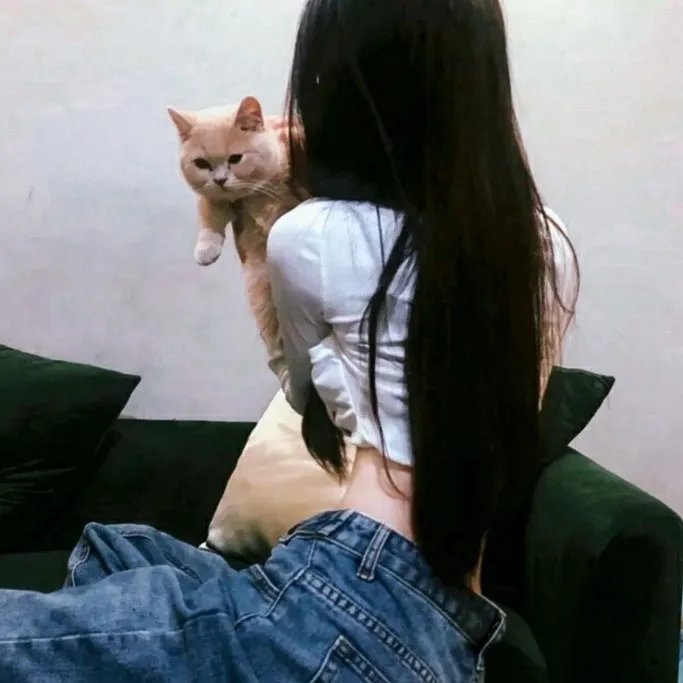 飞车壮士